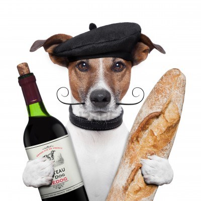 15179290-francese-cane-vino-basco-baguette