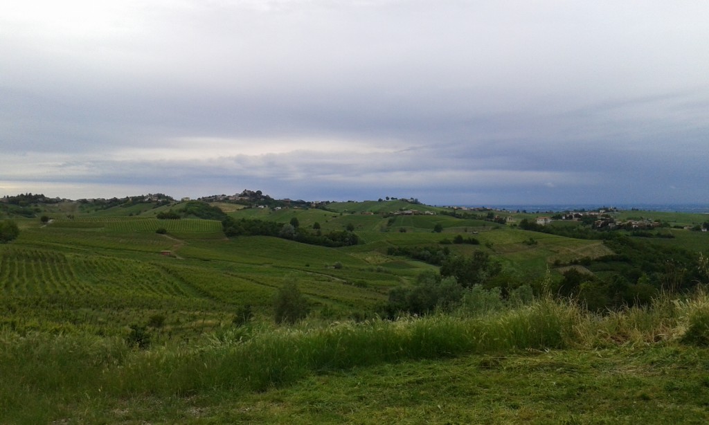 Vista verso nord da Boffalora, San Damiano al Colle (PV)