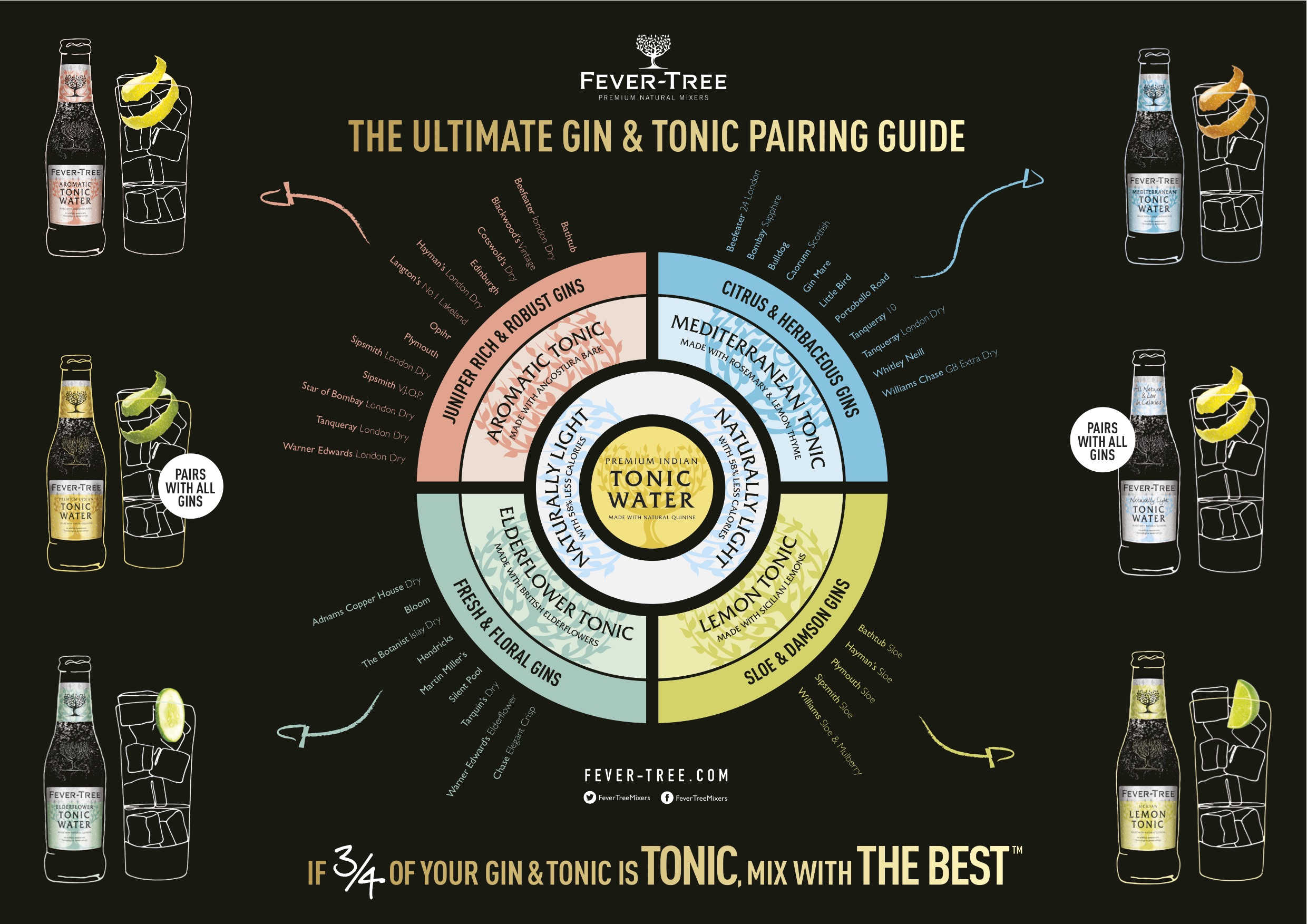 A ogni Gin la sua Tonica guida infallibile all’abbinamento perfetto